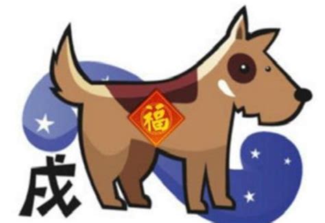 鼠跟狗合嗎|鼠与狗合不合 属鼠和属狗相合吗